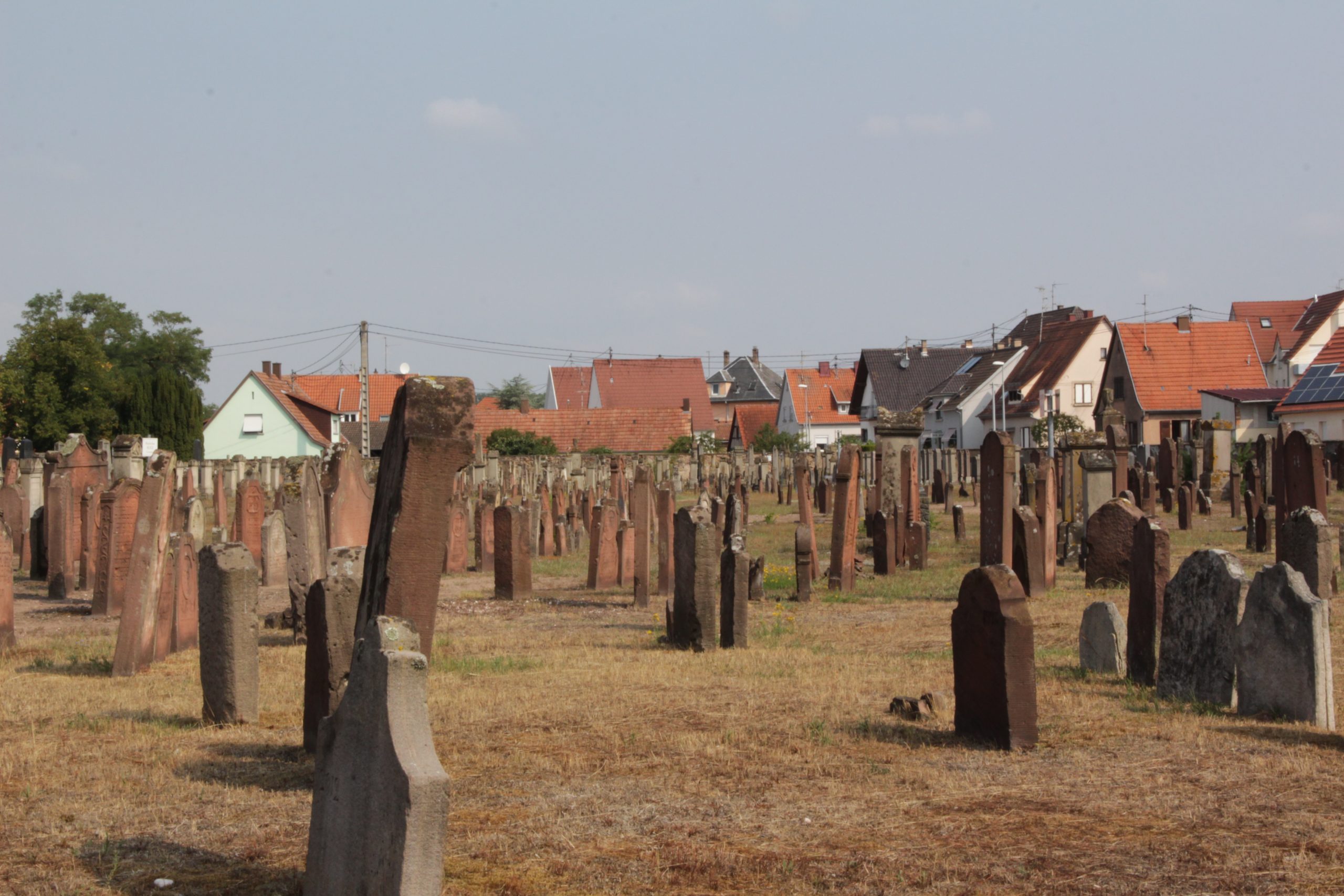 A la découverte du cimetière Juif de Haguenau