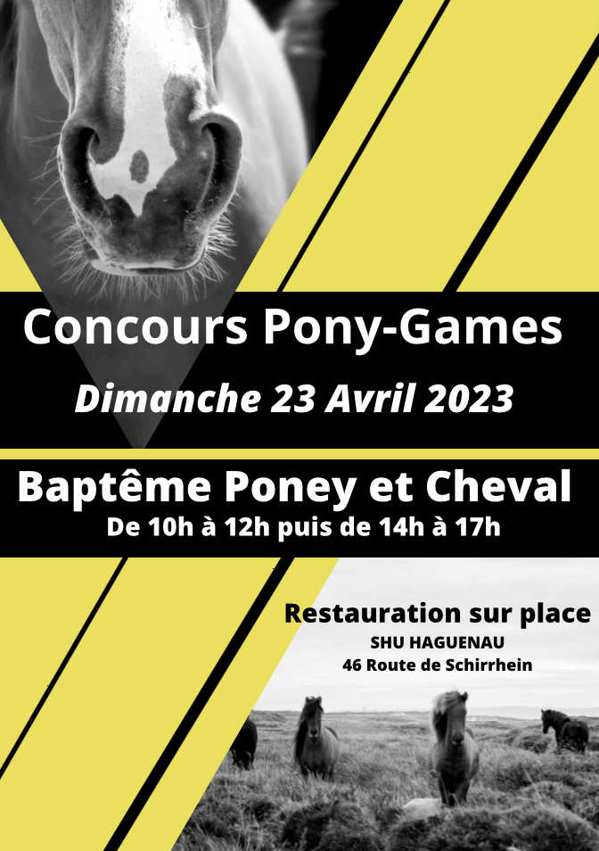 Concours de pony games