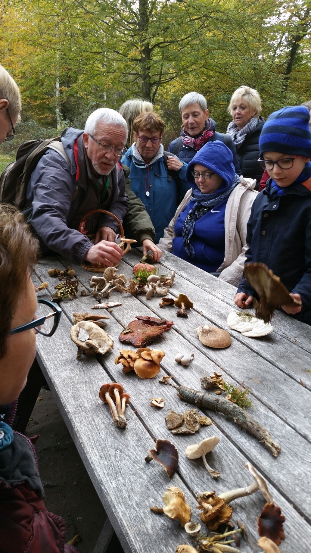 Initiation à la mycologie en forêt de Haguenau
