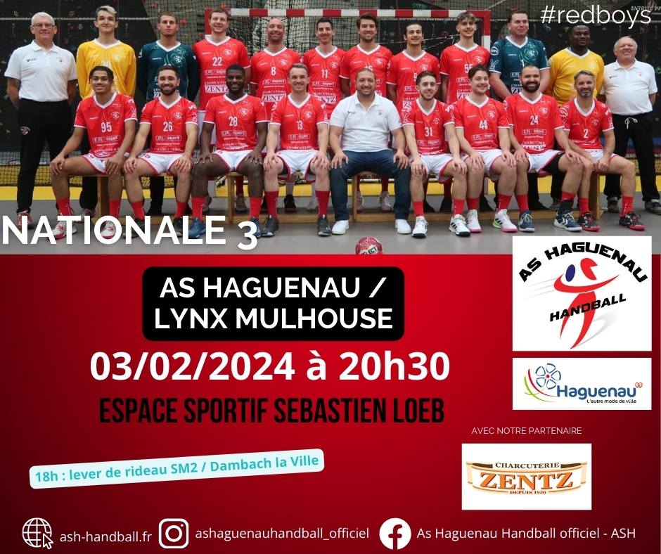 Handball - Match Nationale 3 HAGUENAU / LYNX MULHOUSE